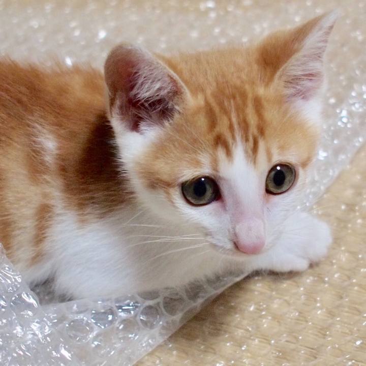 5482621e eced 43f0 89fb c979498c1500