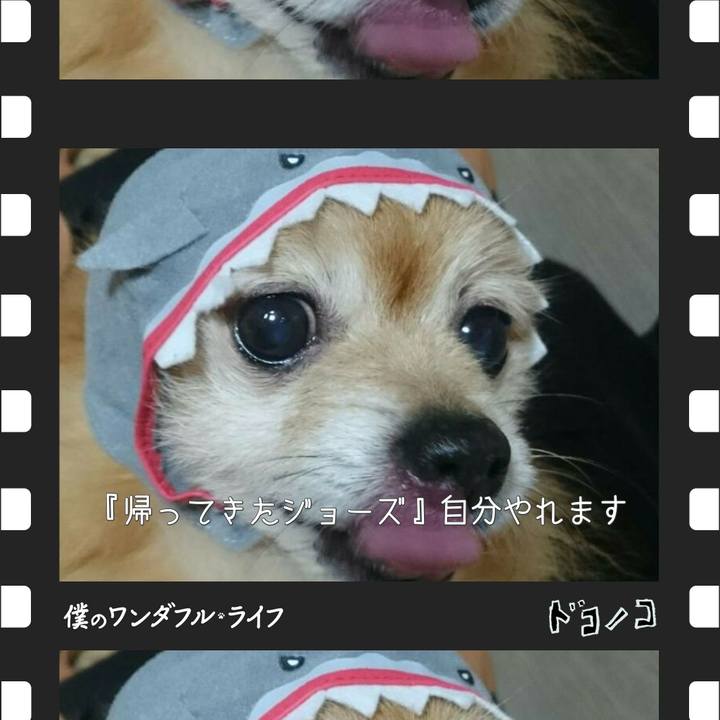 54828ac5 817b 4448 a769 f33fe71cd931