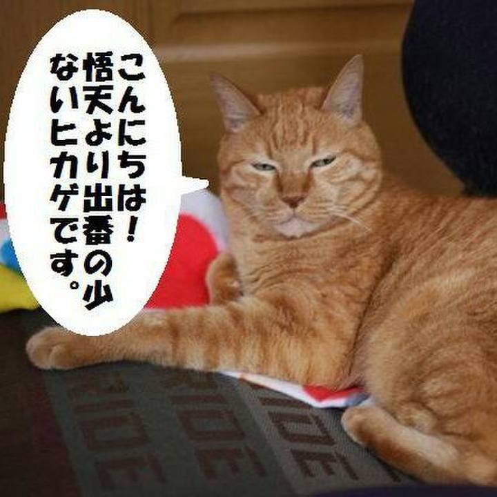 5482963f 807b 4d6f be9b 90fd2fc82b3a