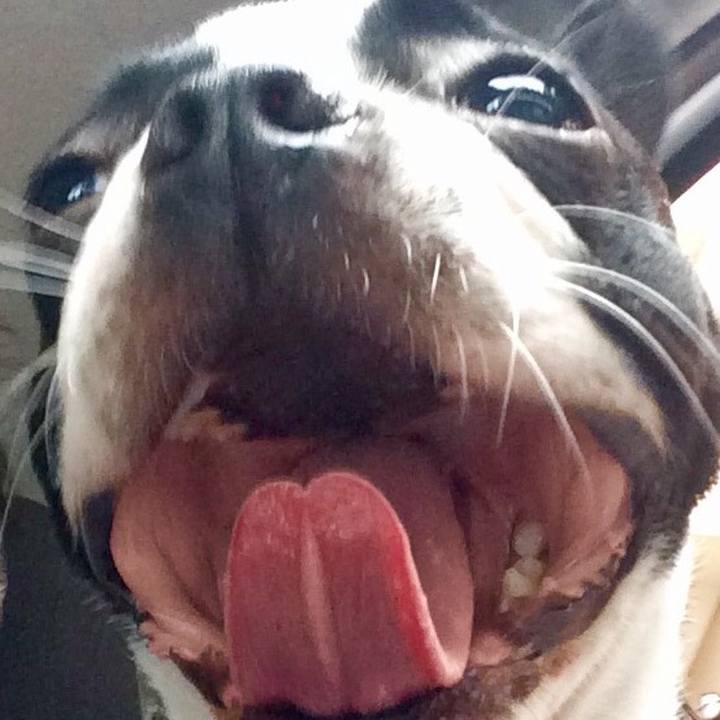 5482e928 9935 4d81 8def c7cadf4dcd51