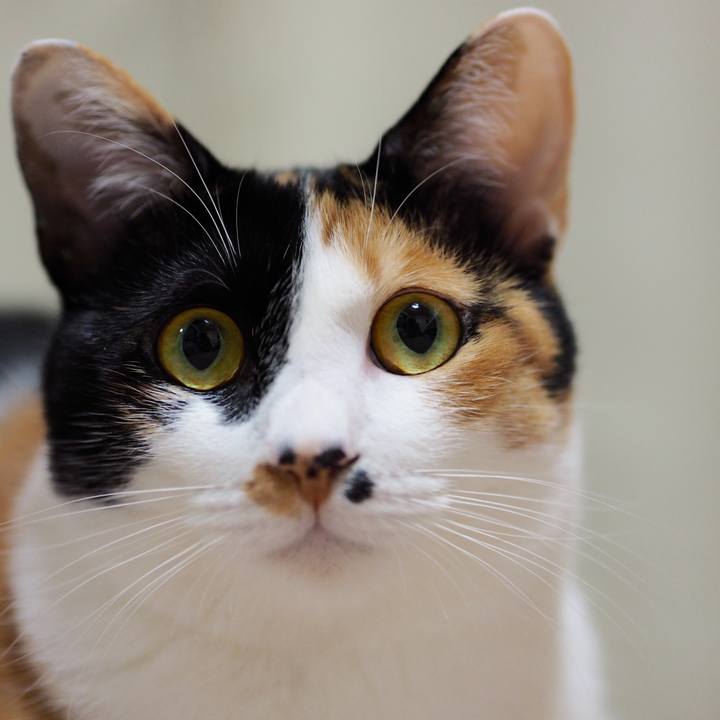 548310a9 e870 41b2 a6cc 86e066ac1bc6