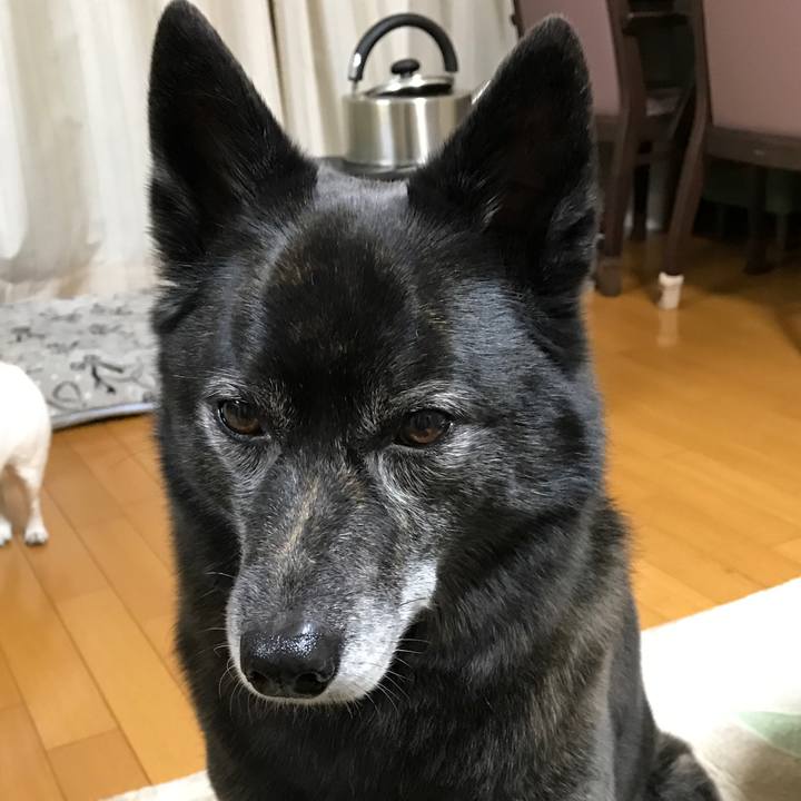 5484a633 5bb8 4199 b610 3f8e02ecc0c6