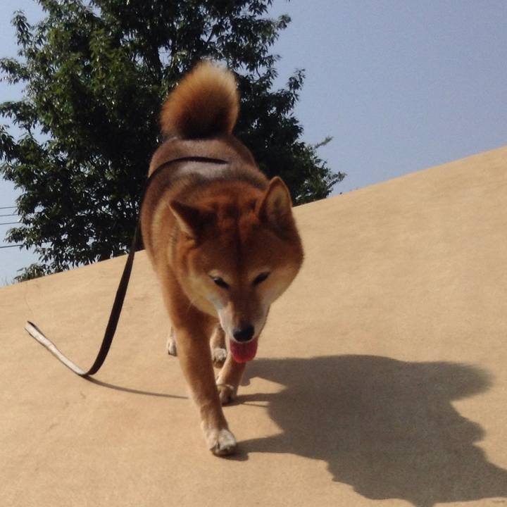 54854694 9636 4c6d a8d9 dc4f07c7aea5