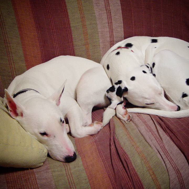 54855bbd 4729 414e b1b9 ee2c8644f179