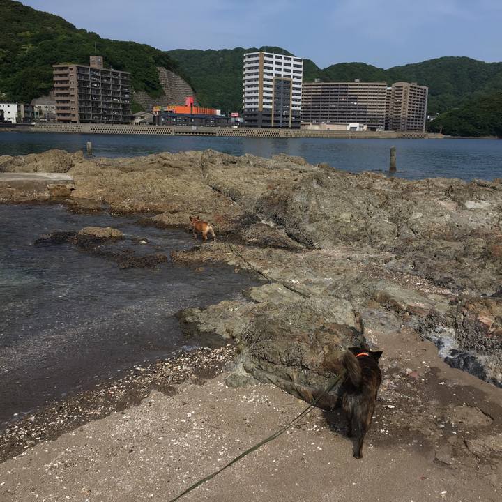 548588e7 1fbc 46d8 aca6 49910a24064d