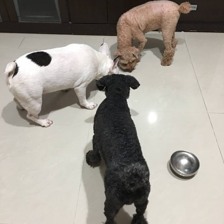 548661e4 a325 4171 a201 f1f74fc8573d