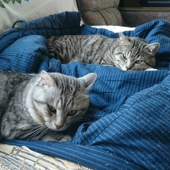 5486c1cd 6fdb 4795 90e2 f8ddae1515e1