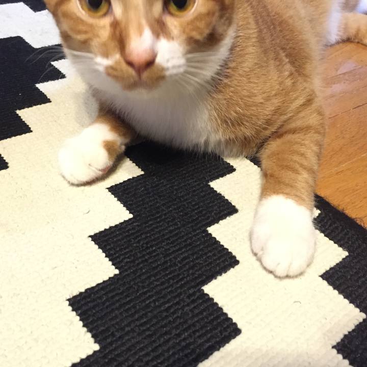 548751d8 22e4 4e89 947b ad91ee2fa5b9