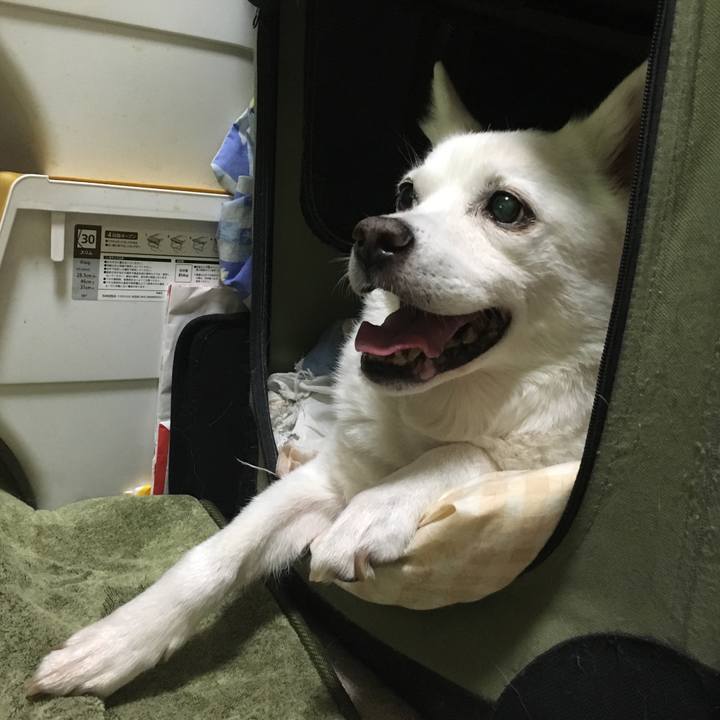 54884f36 f60f 4bab 9f0c 04585c5af44b