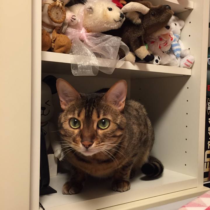 5488940b 97c0 4e55 ab1b 6ee79e87a821