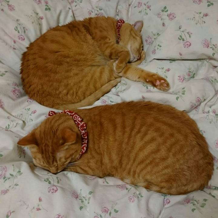 5488b22c ad31 46f0 978b 86aa872f0d29