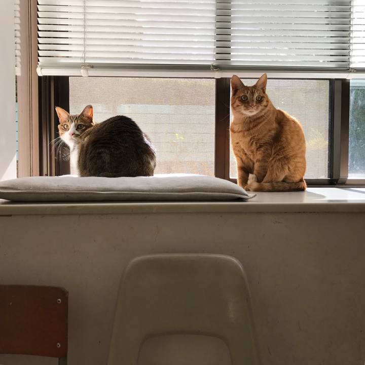 5488d702 896c 4680 9de0 ab1674448081