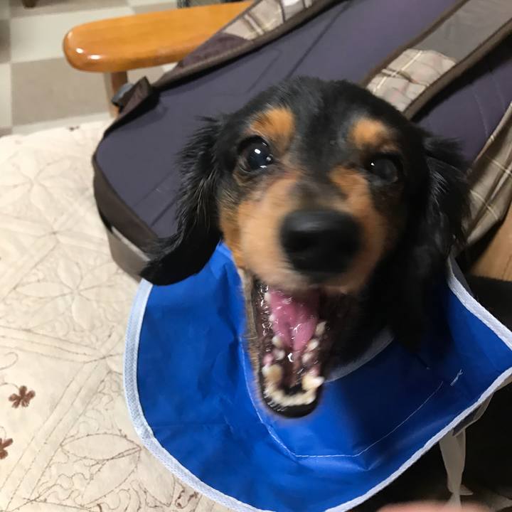 548b3747 21c0 4fac 8614 518b288f718a