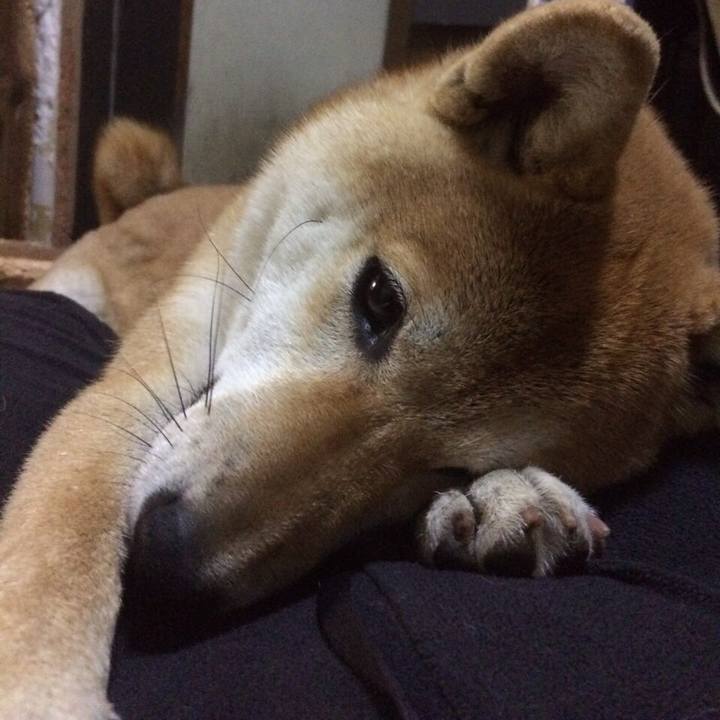 548b9b5f 0403 4fa8 bd88 d836186a6f41