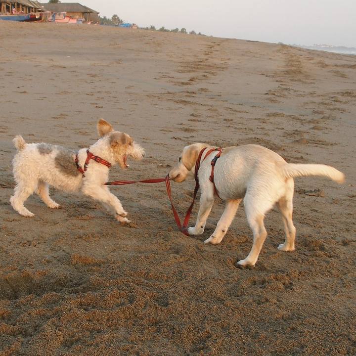 548be2b7 930f 453b b68b 4d1a746f455a