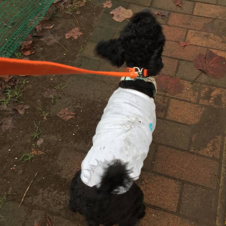 548d44ee cc33 492b 8d9c ba71f7c20a51