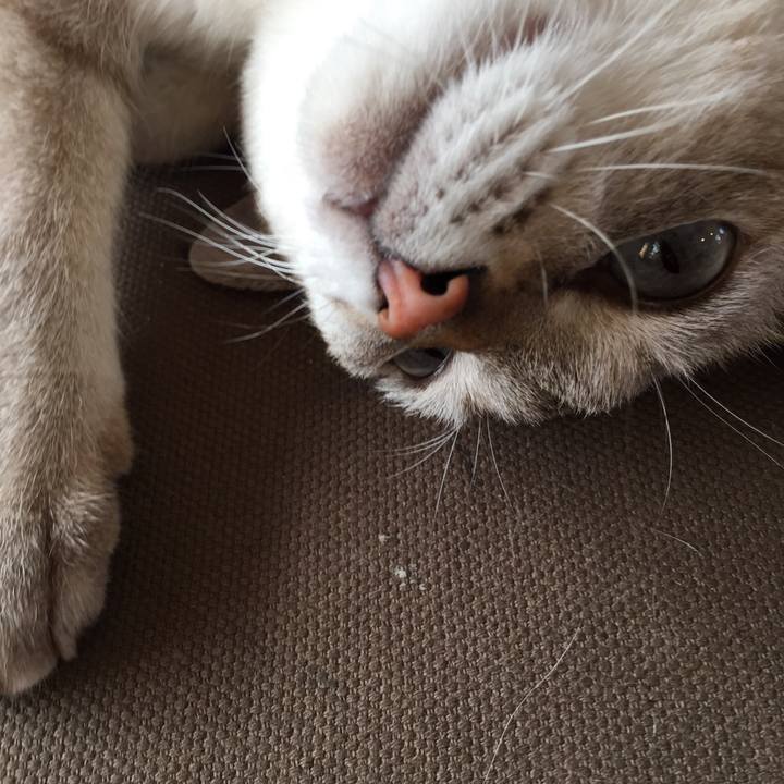 548dee12 8ac7 4a47 b005 515841383ffe