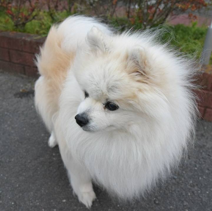 548e0ff2 9062 46c4 af5b b58ef0d8fd7c