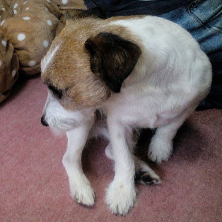 548e56d8 9f97 4208 897a 5f0ab5dff178