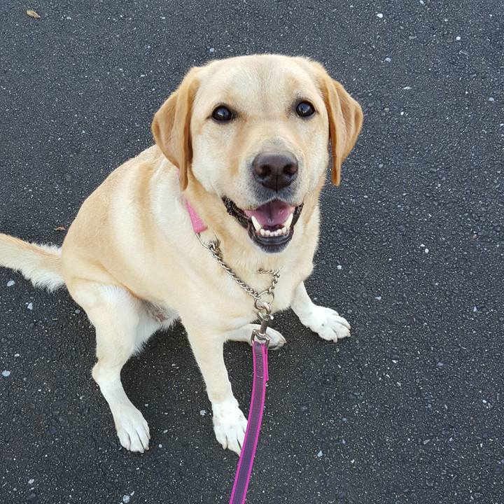 548eb94b 6d19 4b53 a471 9d217e83ad49