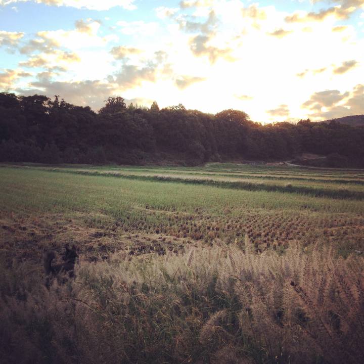 548f88ba 485a 4deb 9a2d 3c2d28fbfabf