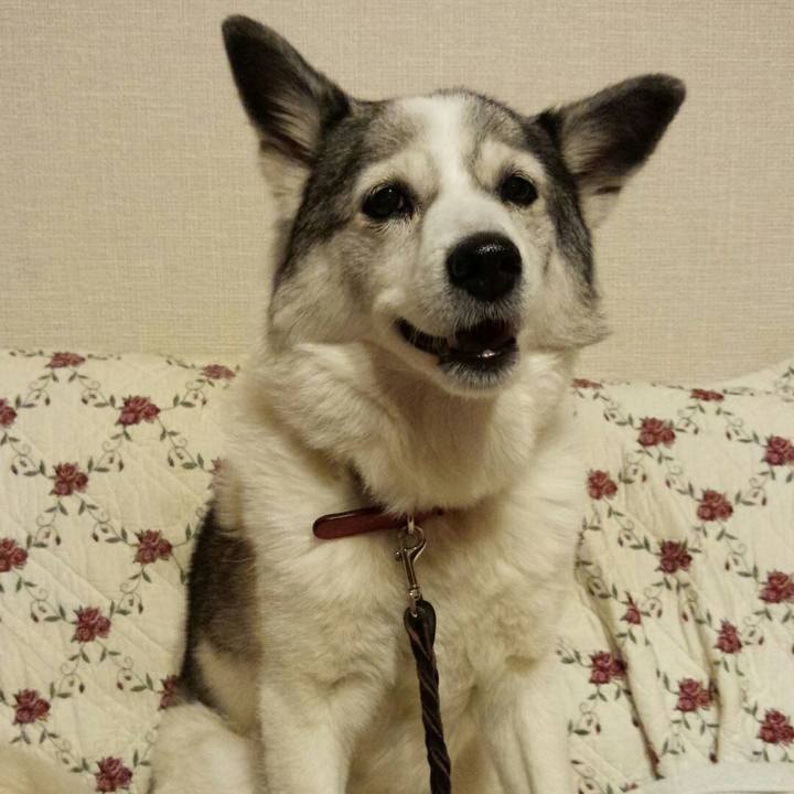 549108bb ccd0 4265 aba6 3563405bcddb