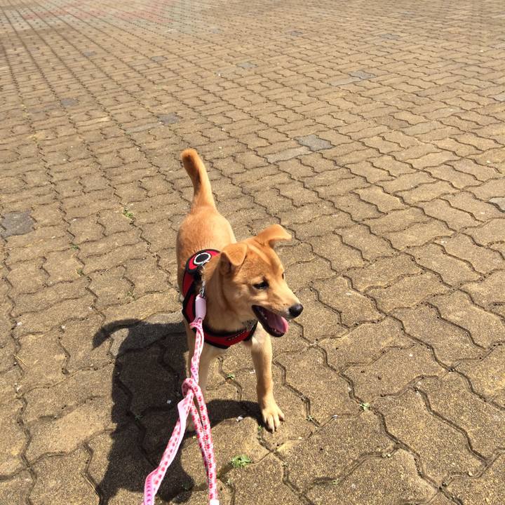 5491530a d6c8 4221 97f5 c40bee43fb5e