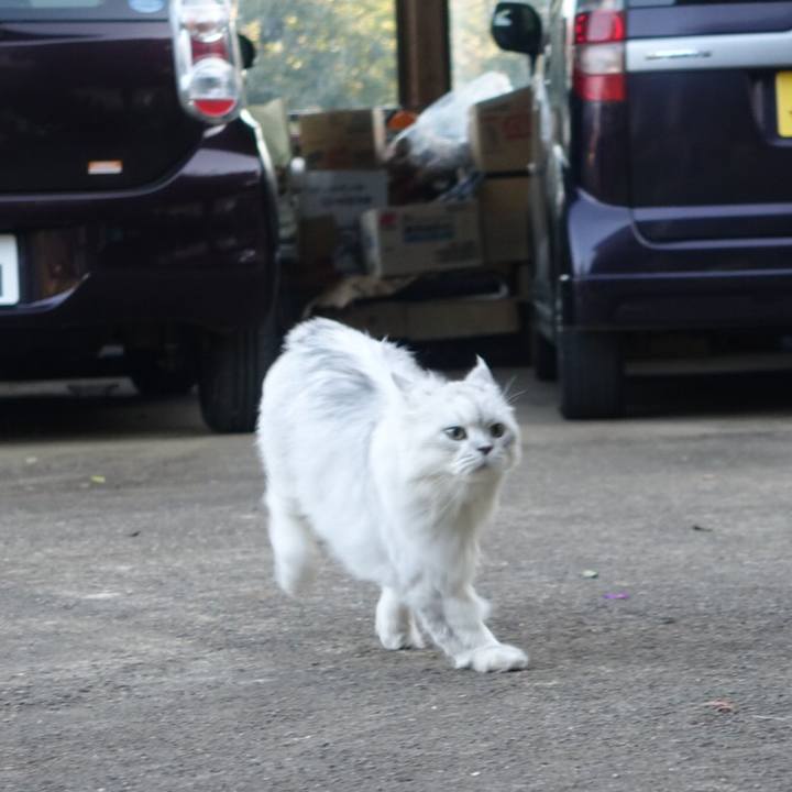 54918990 9831 4dc5 b291 0ecb203b6ba0