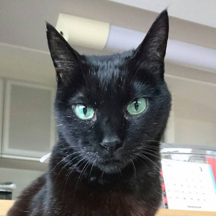 5491c277 1407 4bcd a152 1d1c813c55c5