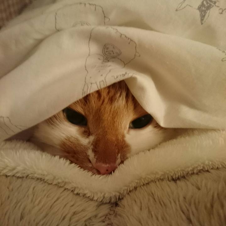 5492b933 883e 4baf b49a 8cb223a5bf75