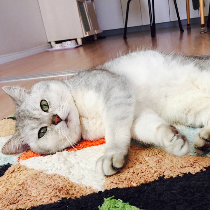 549374e4 4eb1 4354 9b63 ac324d7fe244