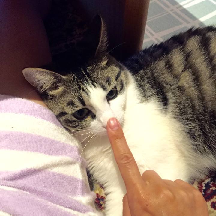 549375b1 8c76 4cd4 89a5 8c69f8122af3