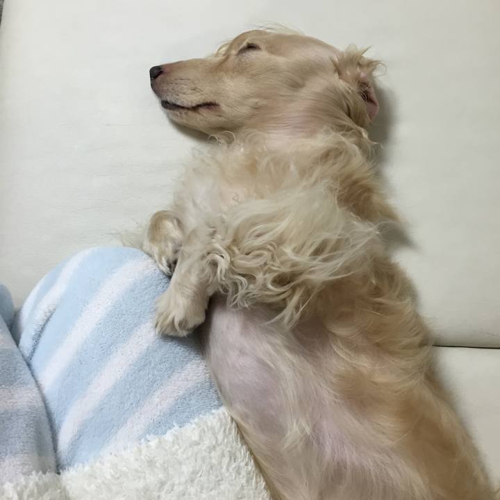 5493801e 08b1 4700 8725 175fc5adfcc2