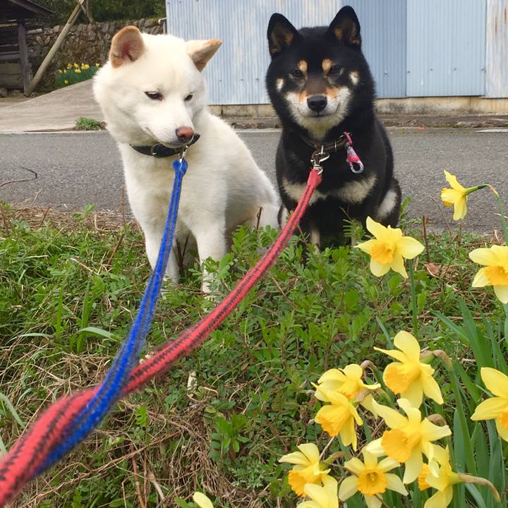 5493ed85 2b26 4466 91bd abe6338e4499