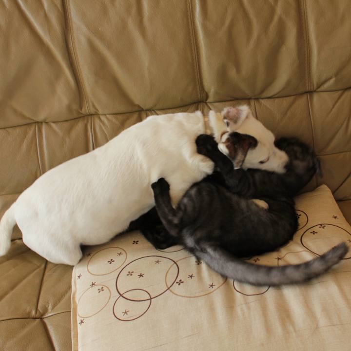 549447b0 af53 4491 ad73 d6d64eabde61