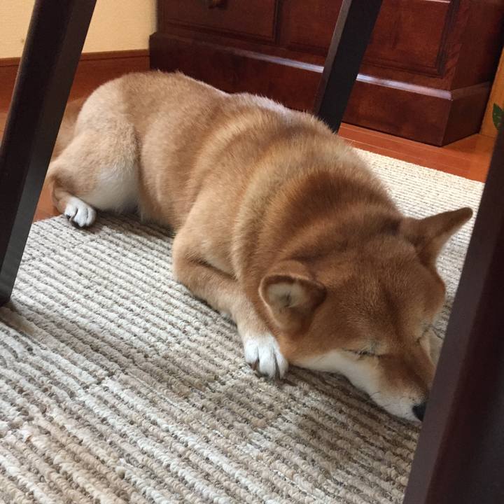 54947e91 2e8c 4fc4 a961 bd4025e35d9d