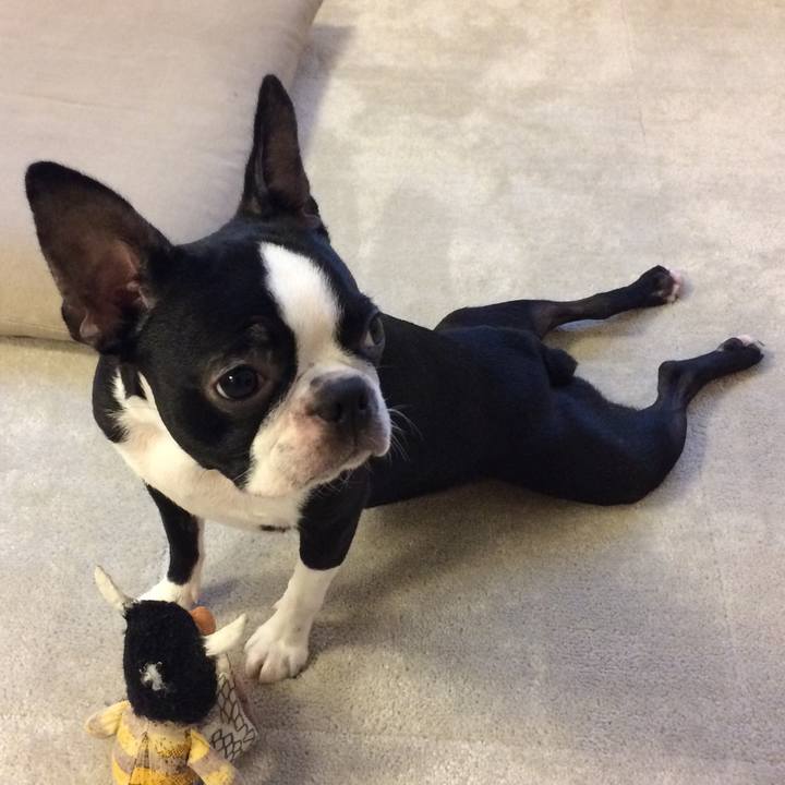 54952b7e 8712 4bed a1b7 c9660ab1d8e0