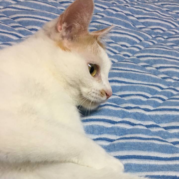 549665ff 3434 457b 8509 ea7ae4d75659