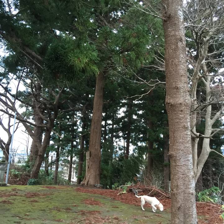 5496f66b 4692 43c0 9f57 168c3ae68dc9