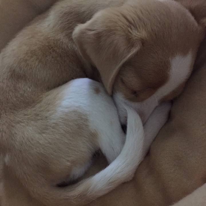 5497324d 594a 44a9 884c 2d2cda98dac6