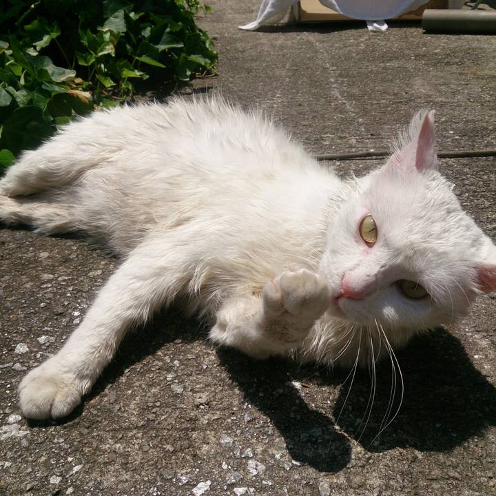 54973414 0f02 475f 8146 7b8ce718621e