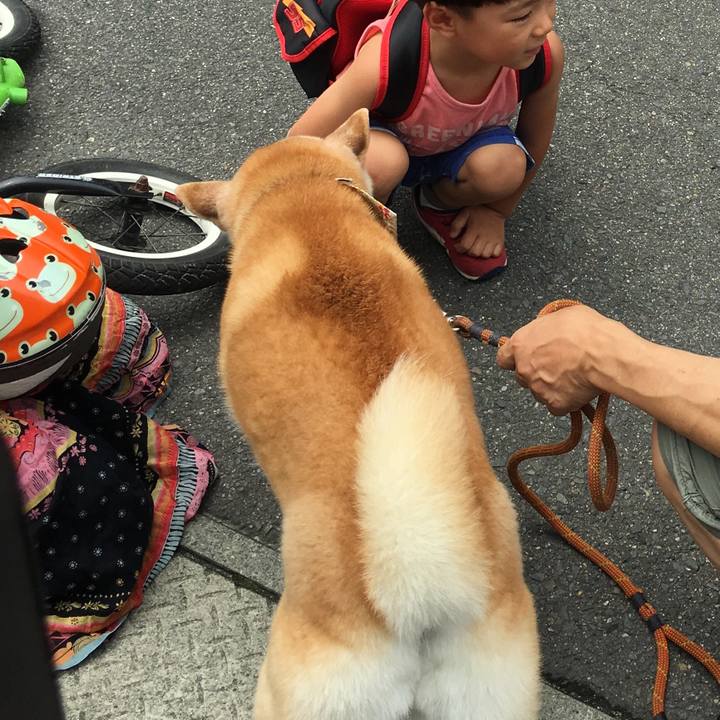 54979dc7 0776 4322 b002 ab714ec9db72