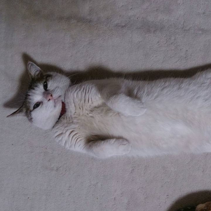 5498d225 55bc 4b42 80b6 62def32c226c