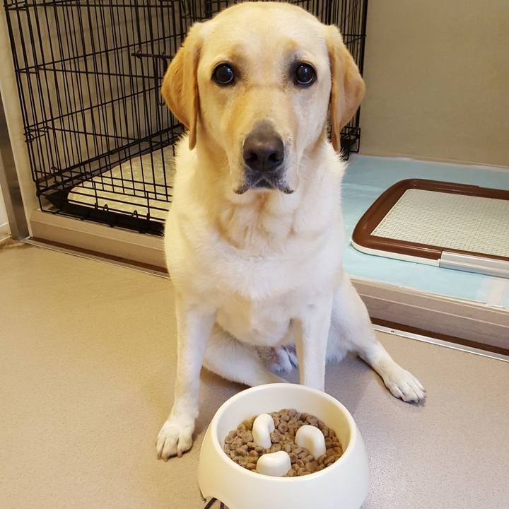 54991253 8089 4f03 b64e cd96c2c63e34