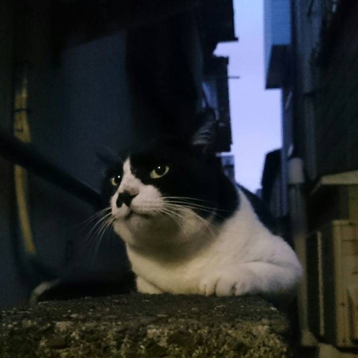 549946d7 f07b 43bf b63a 37607d8f3824