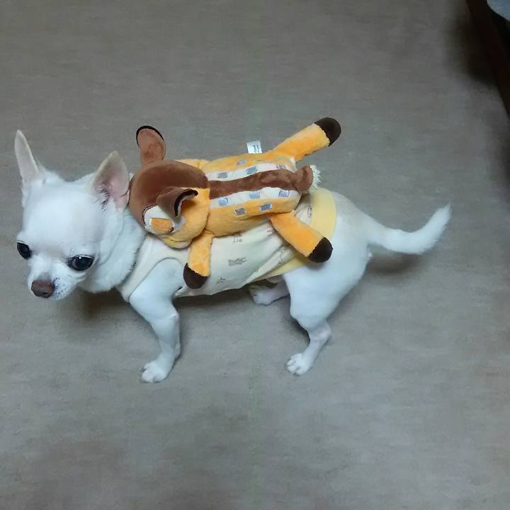 54996f05 7b8d 469c 9b6c 6422b61fdfb1