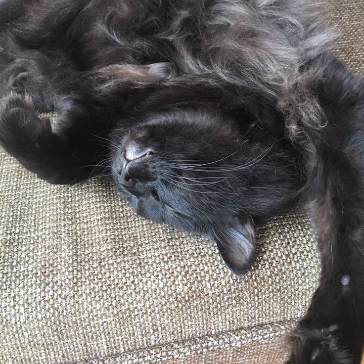 5499cd92 a8ef 4ce1 9aff e379bbfb476c