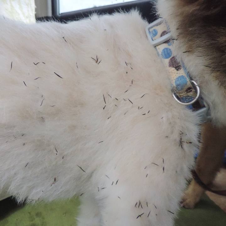 549aa942 ae50 4eb6 9a78 32eea8904004