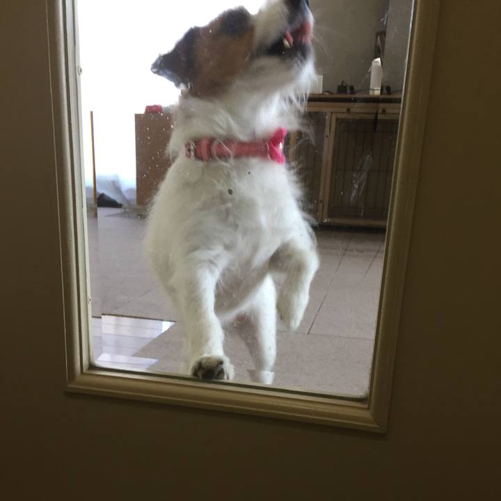 549b08f1 6374 4f46 9027 15eb0ea6f7de