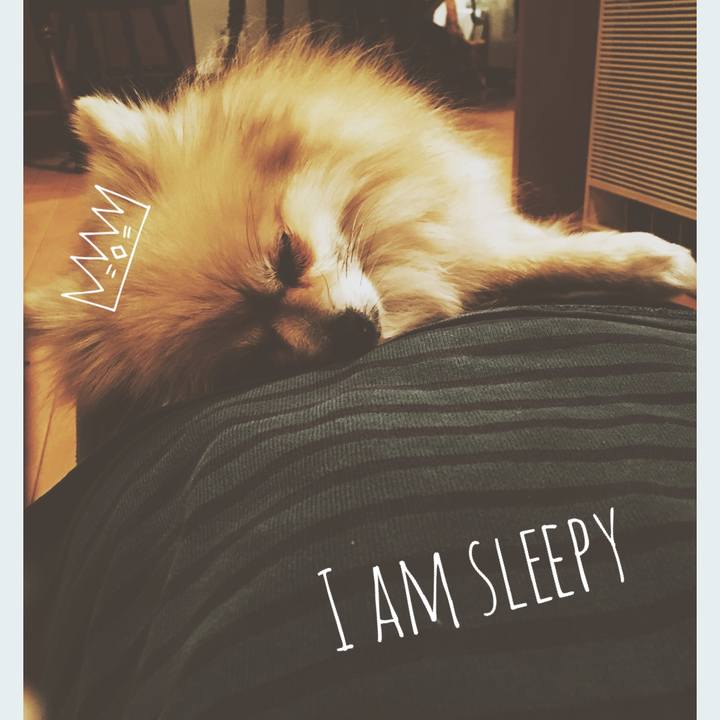 549bccdc a4c0 4c5f ad40 0fc061eaf434